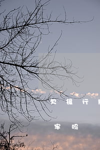 欠银行网贷不还要坐牢吗(网贷欠钱不还会坐牢吗)
