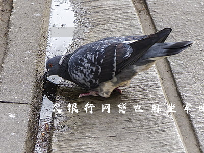 欠银行网贷也用坐牢吗(欠网贷要坐牢吗)