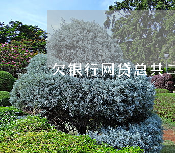 欠银行网贷总共二十万(欠网贷十多万)