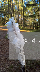 欠银行网贷钱不还(欠网贷还能银行贷款吗)