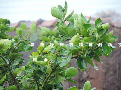 欠银行网贷钱被起诉了(网贷欠款多少钱会被起诉)