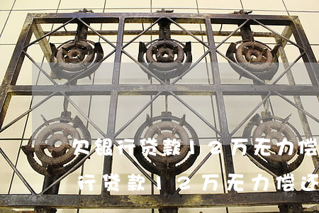 欠银行贷款12万无力偿还会判几年-欠银行贷款12万无力偿还会判几年呢
