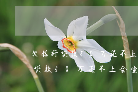 欠银行贷款50万还不上会坐牢吗-欠银行贷款50万还不上会坐牢吗知乎
