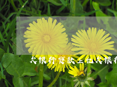 欠银行贷款上亿(欠银行几十亿元好处)