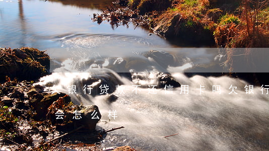 欠银行贷款不还信用卡吗(欠银行信用卡不还会怎么样)