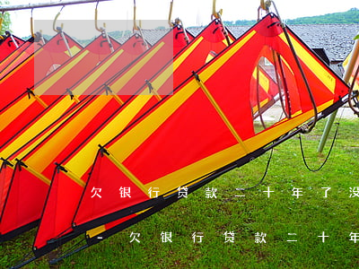 欠银行贷款二十年了没还现在还利息怎么算-欠银行贷款二十年了没还现在还利息怎么算的