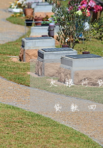 欠银行贷款四十万还不上要坐牢吗-欠银行贷款四十万还不上要坐牢吗怎么办