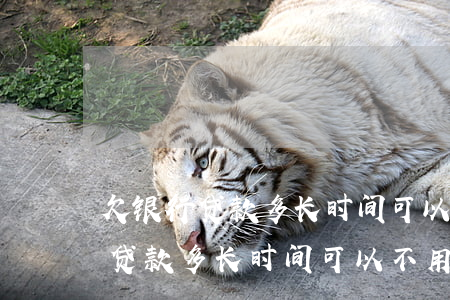 欠银行贷款多长时间可以不用偿还-欠银行贷款多长时间可以不用偿还利息