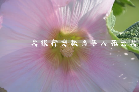 欠银行贷款当事人死亡(欠银行贷款人死了)