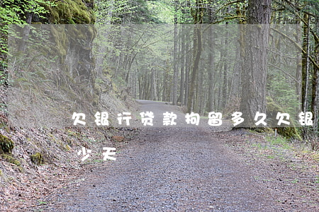 欠银行贷款拘留多久(欠银行贷款被拘留要多少天)