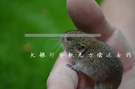 欠银行贷款无力偿还会找老婆吗