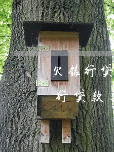 欠银行贷款无力偿还可以分期还款吗-欠银行贷款无力偿还可以分期还款吗