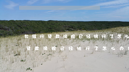 欠银行贷款法院已经执行了怎么办-欠银行贷款法院已经执行了怎么办理
