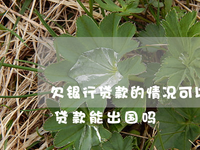 欠银行贷款的情况可以申请出国吗-欠银行贷款能出国吗