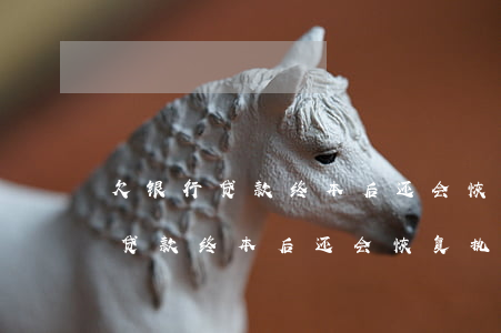 欠银行贷款终本后还会恢复执行吗-欠银行贷款终本后还会恢复执行吗知乎