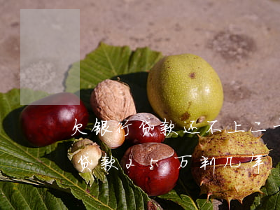 欠银行贷款还不上二十五万判几年-欠银行贷款25万判几年