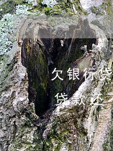 欠银行贷款还不上最后的结果是啥-欠银行贷款还不上最后的结果是啥呢