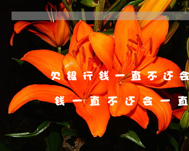 欠银行钱一直不还会一直加利息吗-欠银行钱一直不还会一直加利息吗怎么办