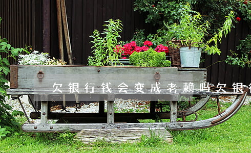 欠银行钱会变成老赖吗(欠银行钱会黑户吗)