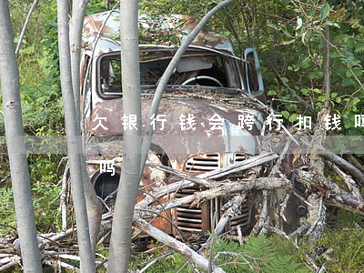 欠银行钱会跨行扣钱吗(欠银行钱会跨行扣钱吗)