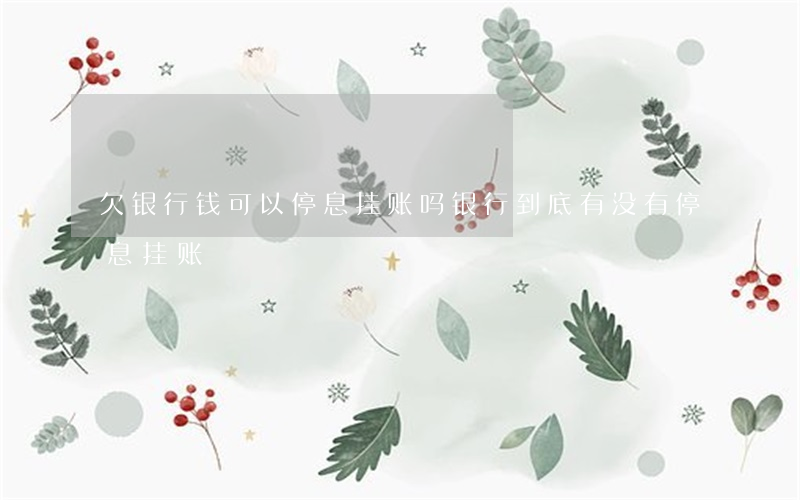 欠银行钱可以停息挂账吗(银行到底有没有停息挂账)