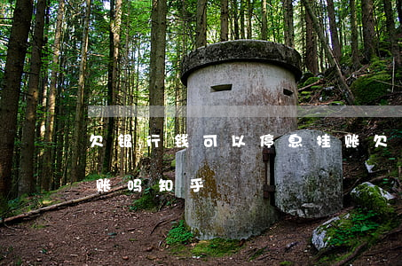 欠银行钱可以停息挂账(欠银行钱可以停息挂账吗知乎)
