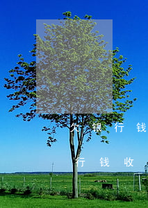 欠银行钱收到传票后还款还能撤诉吗-欠银行钱收到传票后还款还能撤诉吗怎么办