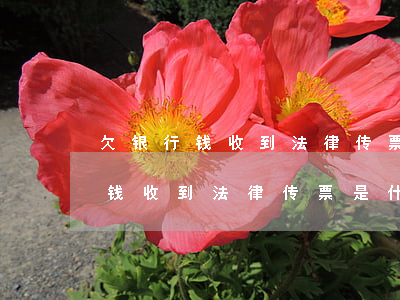 欠银行钱收到法律传票是什么样子-欠银行钱收到法律传票是什么样子的
