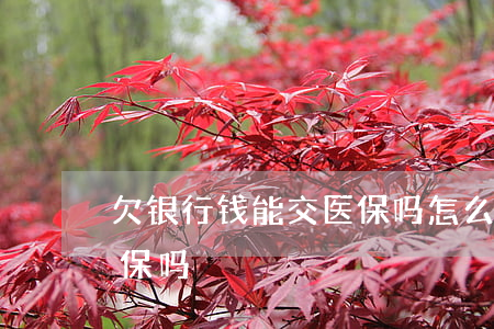 欠银行钱能交医保吗怎么交（欠银行钱能交医保吗）