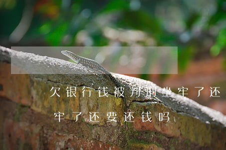 欠银行钱被判刑坐牢了还要还吗(欠银行钱坐牢了还要还钱吗)