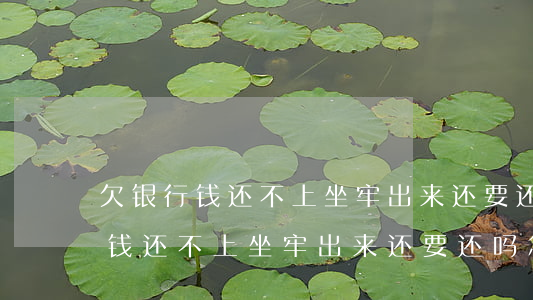欠银行钱还不上坐牢出来还要还吗-欠银行钱还不上坐牢出来还要还吗怎么办