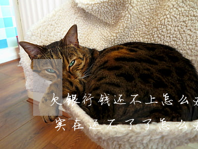 欠银行钱还不上怎么办可以协商吗(欠银行钱实在还不了了怎么办)