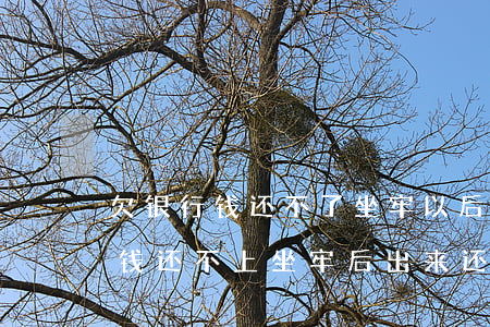 欠银行钱还不了坐牢以后还用还么-欠银行钱还不上坐牢后出来还要还吗