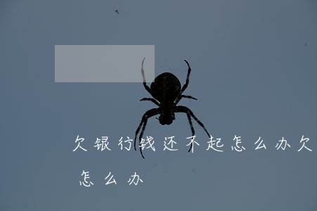 欠银行钱还不起怎么办(欠了银行的钱还不起怎么办)