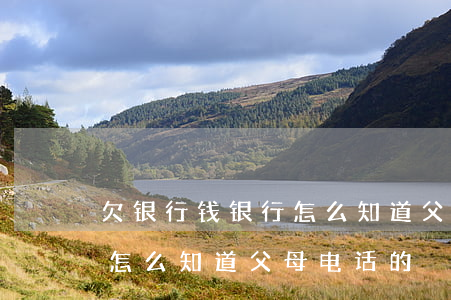 欠银行钱银行怎么知道父母电话的-银行是怎么知道父母电话的