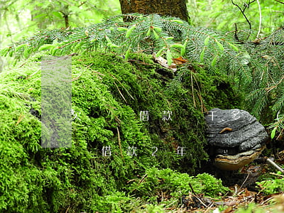 欠閃電借款兩千多會(huì)坐牢嗎(欠閃電借款2年)