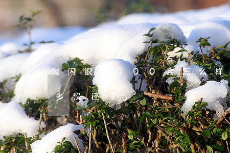 欠闪银9000会怎么样(闪银欠了三千 一年多没还了)