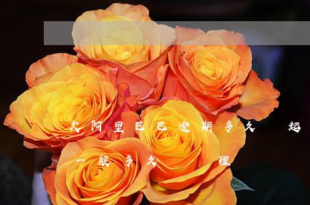 欠阿里巴巴逾期多久會起訴-阿里巴巴投訴一般多久會處理