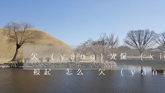 欠陽(yáng)光保險(xiǎn)貸款被起訴怎么辦(欠陽(yáng)光保險(xiǎn)貸款還不上起訴了會(huì)怎么樣)