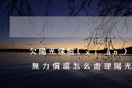 欠陽光保險(xiǎn)網(wǎng)貸無力償還怎么處理(陽光信用保險(xiǎn)貸款還不上)