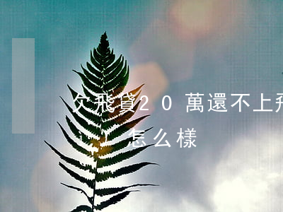 欠飛貸20萬還不上(飛貸借錢不還會(huì)怎么樣)