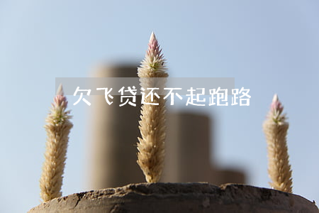 欠飞贷还不起跑路