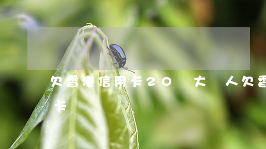 欠香港信用卡20萬(大陸人欠香港銀行信用卡)