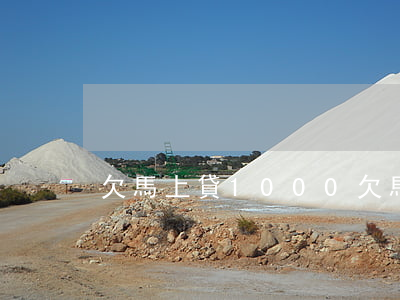 欠馬上貸1000(欠馬上金融2000)