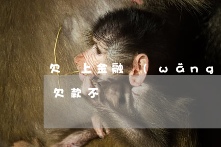 欠馬上金融網(wǎng)貸不還(馬上金融欠款不還)