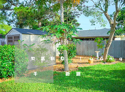 欠高利息網(wǎng)貸跑路(欠了高利貸千萬別跑路)