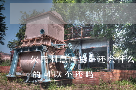 欠高利息网贷不还会什么样(欠网贷利息很高的可以不还吗?)