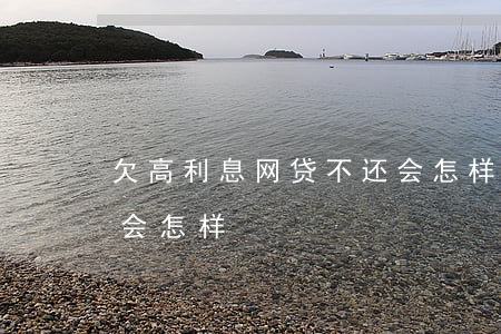 欠高利息网贷不还会怎样(欠高利息网贷不还会怎样)