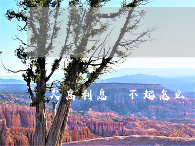 欠高利息還不起怎么辦(欠高利息還不起怎么辦)