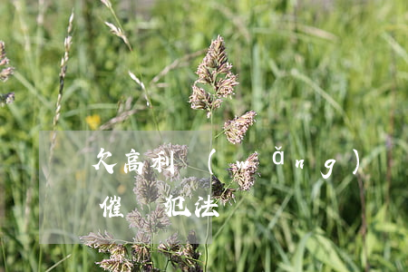 欠高利網(wǎng)貸上門(欠高利貸上門催債犯法嗎)